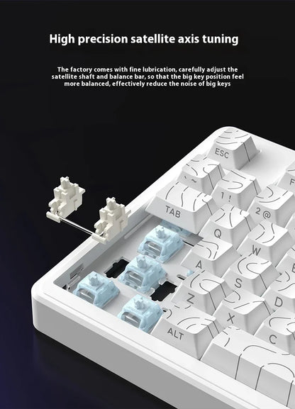 Riccks RS8 V2 Wireless Gaming Mechanical Keyboard Bluetooth 2.4G Wired 8000mAh RGB Hotswap Support QMK-VIA Keyboard for pc Gamer